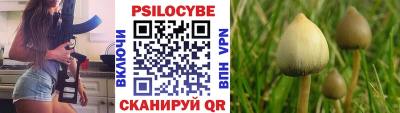 Галлюциногенные грибы прущие грибы  Мичуринск 